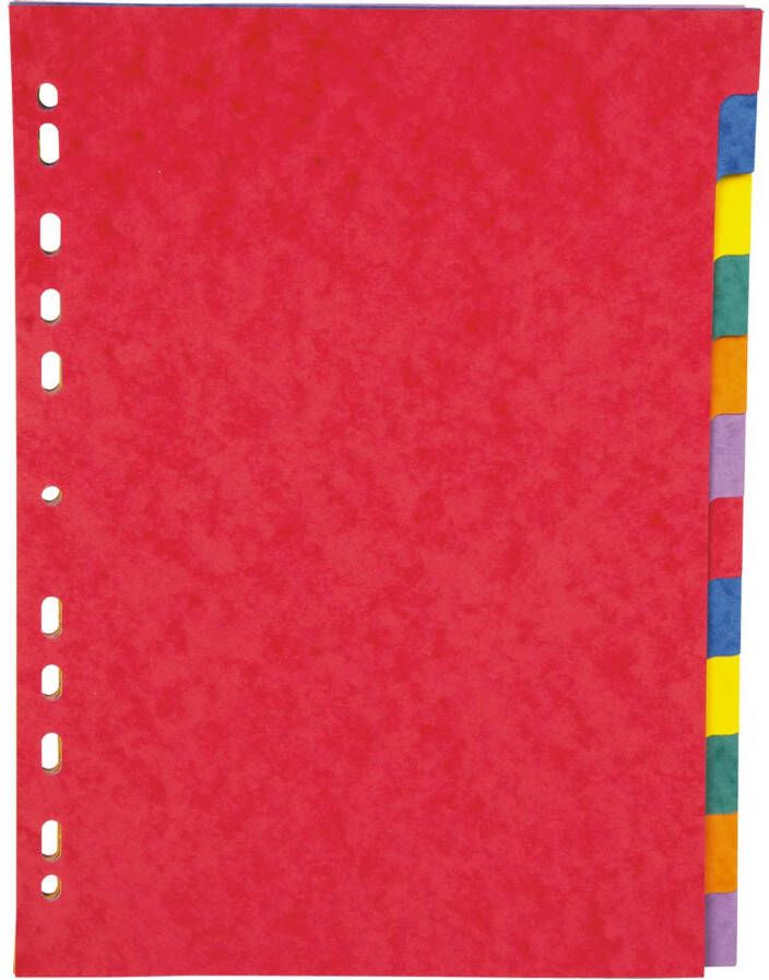 Pergamy tabbladen ft A4 11-gaatsperforatie stevig karton geassorteerde kleuren 12 tabs 25 stuks