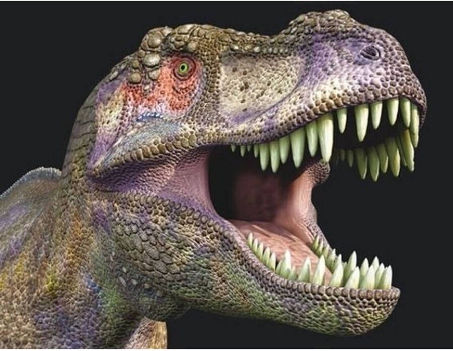 Merkloos 3D koelkast magneetje met T-rex dinosaurus Magneten