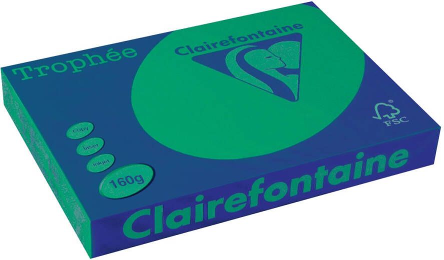 Clairefontaine Trophée Intens gekleurd papier A3 160 g 250 vel dennengroen