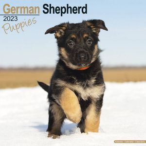 Avonside Duitse Herder Kalender Puppies 2023