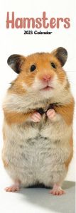 Avonside Hamster Kalender 2023 Slimline