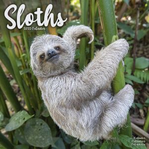 Avonside Luiaard Sloths Kalender 2023