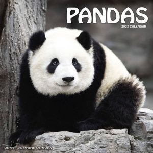 Avonside Panda Kalender 2023