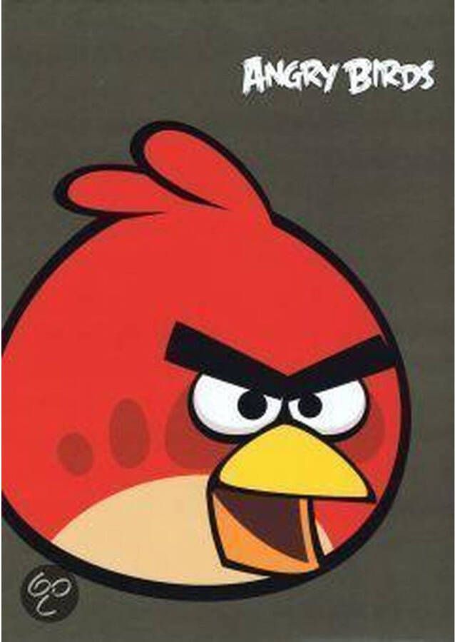 Benza Angry Birds Schriften Lijn A4 2 stuks