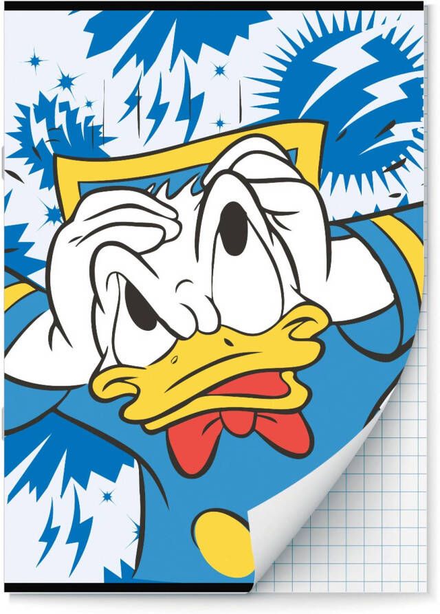 Benza Donald Duck schriften Ruit 10 mm A4 2 stuks