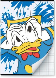 Benza Donald Duck Schriften Ruit 10 Mm A4 2 Stuks
