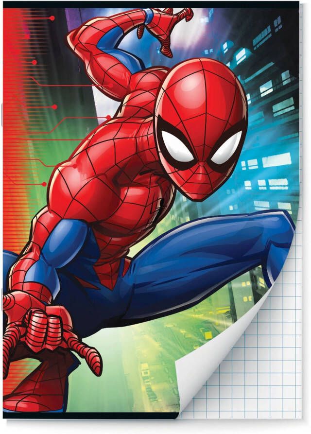 Benza Spider-Man schriften Ruit 10 mm A4 2 stuks