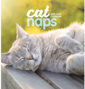 CarouselCalendars Cat Naps Kalender 2023 Easel Desktop