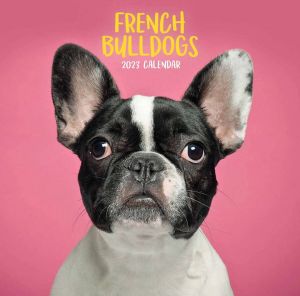 CarouselCalendars Franse Bulldog Kalender 2023 Mini