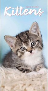 CarouselCalendars Kittens Pocket Agenda 2023