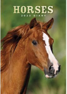CarouselCalendars Paarden Agenda 2023