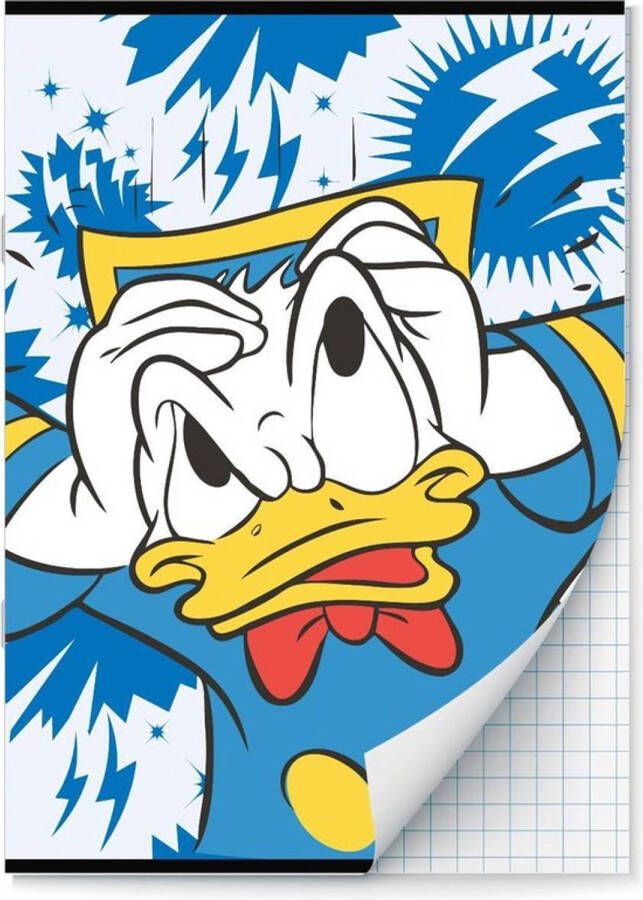 Interstat Donald Duck schriften Ruit 10 mm A4 4 stuks