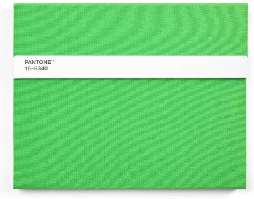 LEGO Copenhagen Design Notitieboek Gelinieerd met Potlood Green 2422 C Papier Groen