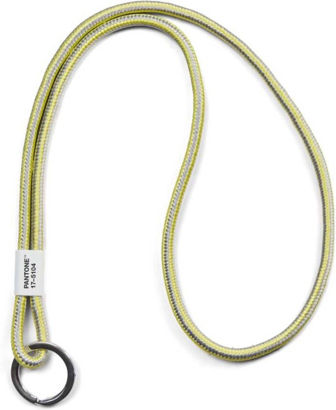 LEGO Copenhagen Design Sleutelhanger Groot Illuminating 13-0647 Ultimate Gray 17-5104 Nylon Multicolor