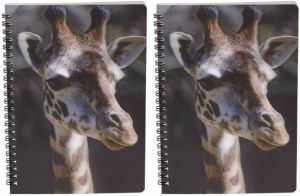 Merkloos 2x Stuks Giraffe Schrift 3d 21cm Notitieboek