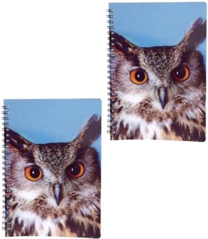 Ravensden 2x stuks uilen vogels thema schrift notitieboekje 3D 21cm Notitieboek