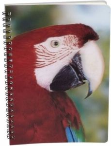 Merkloos Papegaaien Schrift 3d 21cm Notitieboek