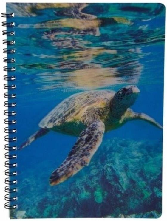 Ravensden Schildpadden thema schrift notitieblok opschrijfboek 3D 21cm Notitieboek