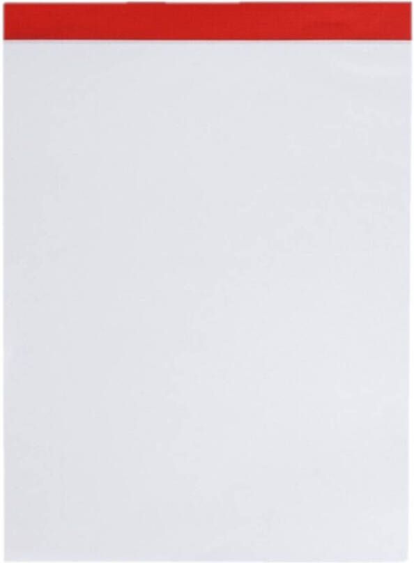 Merkloos Set van 1x stuks notitieblokjes notitieboekjes blanco 21 x 15 cm Notitieboek