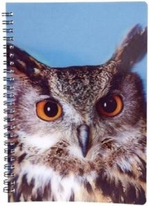 Merkloos Uilen Vogels Thema Schrift Notitieboekje 3d 21cm Notitieboek