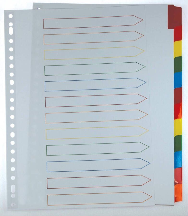 Pergamy tabbladen met indexblad ft A4 11-gaatsperforatie geassorteerde kleuren 12 tabs 25 stuks