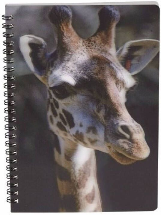Ravensden Giraffe schrift 3D 21cm Notitieboek