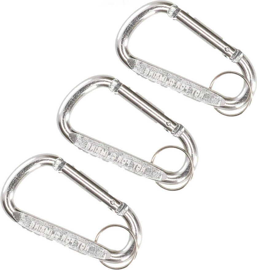 Merkloos Karabijnhaak sleutelhanger 3x metaal zilver 8 cm Karabijnhaken