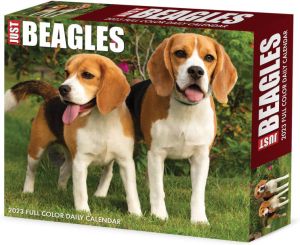 Willow Creek Beagle Kalender 2023 Boxed