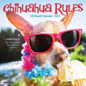 Willow Creek Chihuahua Rules Kalender 2023 Mini