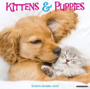 Willow Creek Kittens and Puppies Kalender 2023