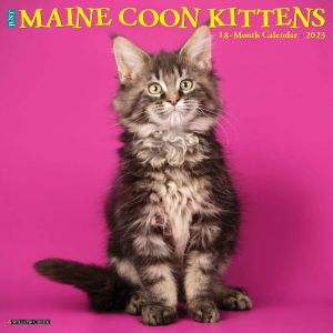 Willow Creek Maine Coon Kittens Kalender 2023