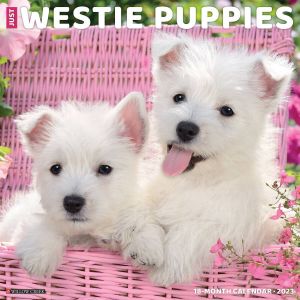 Willow Creek West Highland White Terrier Puppies Kalender 2023