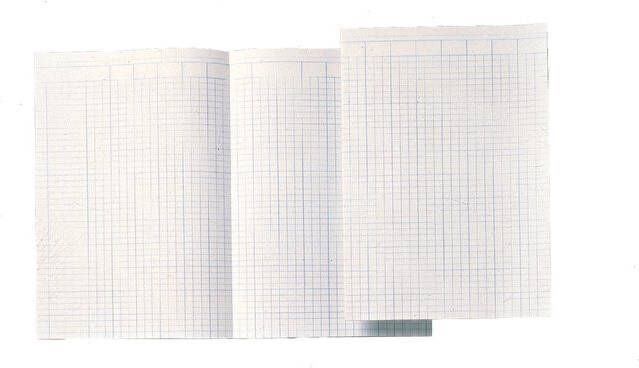 Atlanta by Jalema Accountantspapier ft A4 opengevouwen tot 29 4 x 41 4 cm
