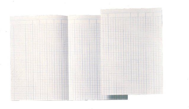 Atlanta Accountantspapier dubbel folio 14 kolommen 100vel