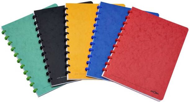 Atoma Classic schrift ft A4 144 bladzijden geruit 5 mm geassorteerde kleuren
