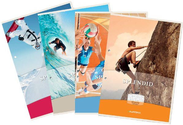 Paagman Aurora Splendid cursusblok ft A4 70 g m² 2-gaatsperforatie geruit 5 mm 100 vel - Foto 4