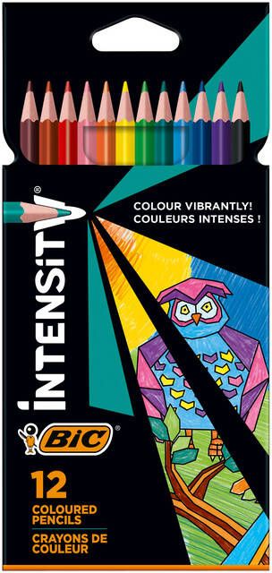 Bic Kleurpotloden Intensity assorti etuià 12 stuks