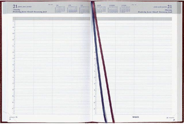 Brepols Agenda 2023 Bremax Santex A4 1dag 2pagina's 8 kolommen bordeaux - Foto 4