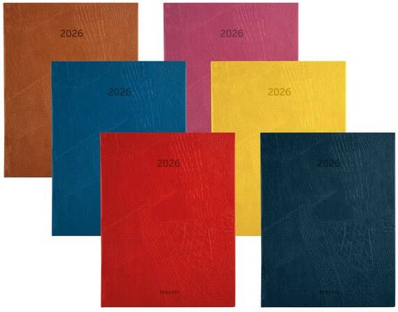 Brepols Agenda 2026 Optivision Lucca 7dagen 2pagina's assorti - Foto 2