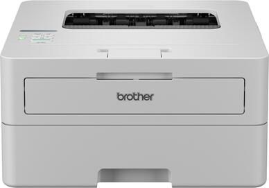 Brother Printer Laser HL-L2865DW