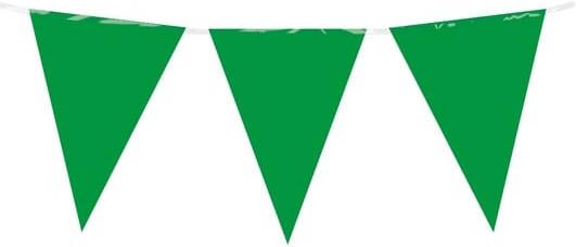 Bruna office Party Flag PE Green