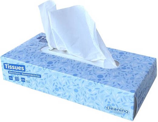 Cleaninq Facial tissues 2-laags 100stuks