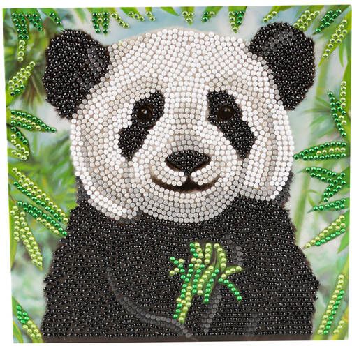 Crystal Art Diamondpainting Kaart baby panda 18x18cm