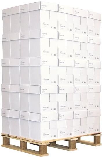 Daily Paper Kopieerpapier A4 80gr wit 500 vel