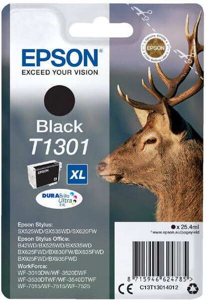 Epson Inktcartridge T1301 zwart HC