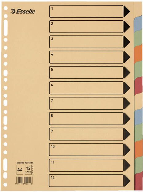Esselte Tabbladen Premium A4 10-delig karton 23-rings assorti - Foto 3