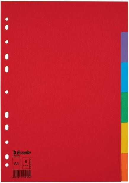Esselte Tabbladen Economy A4 6-delig karton 11-rings assorti