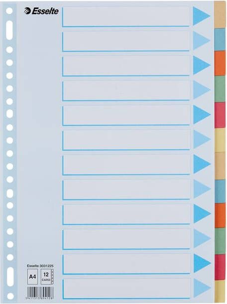 Esselte Tabbladen Premium A4 12-delig karton 23-rings assorti - Foto 3