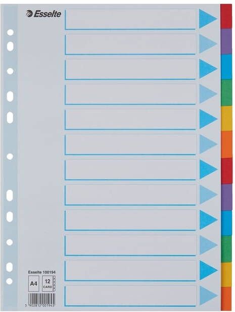 Esselte Tabbladen Standaard A4 12-delig karton 11-rings met voorblad assorti - Foto 2