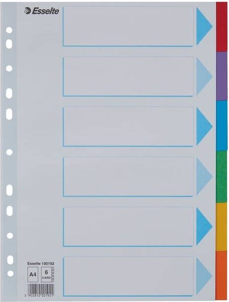 Esselte Tabbladen Standaard A4 6-delig karton 11-rings met voorblad assorti - Foto 2